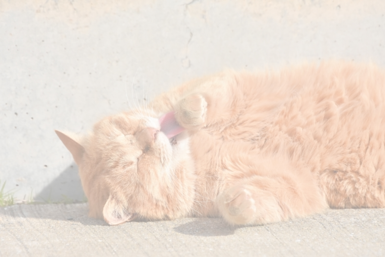 タイトルが入ります。タイトルが入ります。 #4 #3