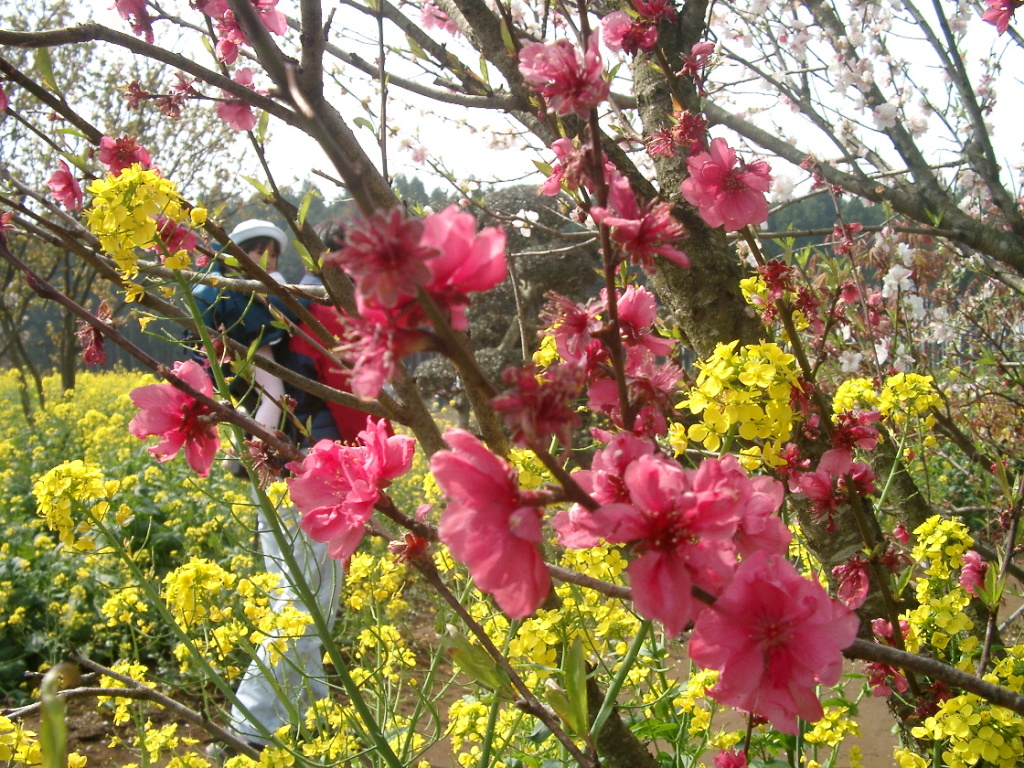 タイトルが入ります。タイトルが入ります。 #3 #2 #2